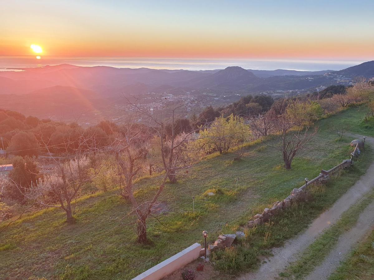 Oasi Del Benessere Ilbono Kültér fotó