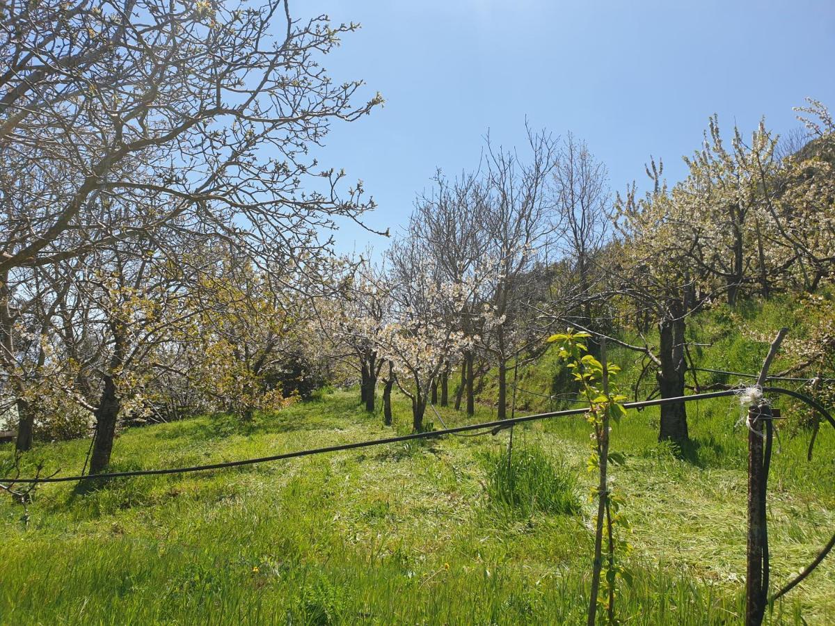 Oasi Del Benessere Ilbono Kültér fotó