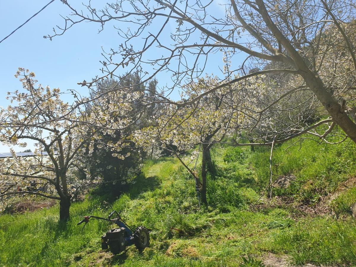 Oasi Del Benessere Ilbono Kültér fotó