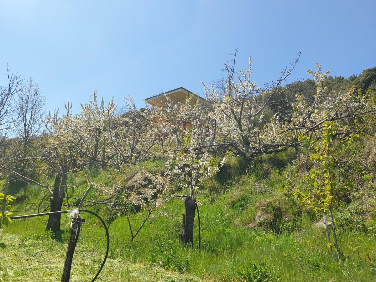 Oasi Del Benessere Ilbono Kültér fotó